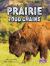 Prairie Food Chains
