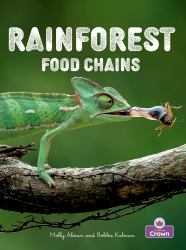 Rainforest Food Chains