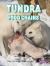 Tundra Food Chains Tundra Food Chains