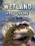 Wetland Food Chains Wetland Food Chains