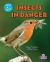 Insects in Danger
