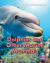 Dolphins and Other Marine Mammals Dolphins and Other Marine Mammals