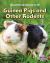 Guinea Pigs and Other Rodents Guinea Pigs and Other Rodents