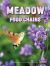 Meadow Food Chains Meadow Food Chains
