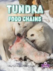 Tundra Food Chains