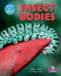 Insect Bodies