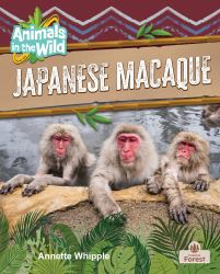 Japanese Macaque