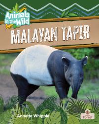 Malayan Tapir