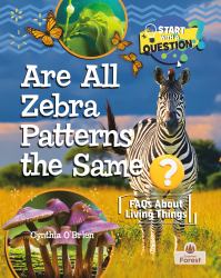 Are All Zebra Patterns the Same?