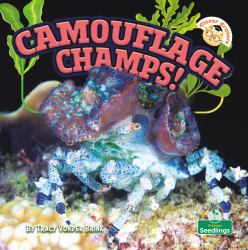 Camouflage Champs!