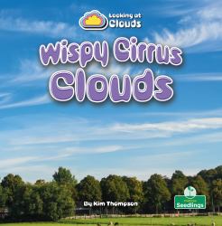 Wispy Cirrus Clouds