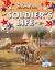 A Soldier's Life at War