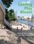 Letting Play Bloom : Designing Nature-Based Risky Play for Children Letting Play Bloom : Designing Nature-Based Risky Play for Children