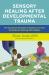 Sensory Healing after Developmental Trauma : The Connected Therapist's Guide to Low-Cost Activities for Working with Children
