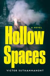 Hollow Spaces : A Novel