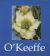 O'Keeffe