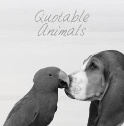 Quoteable Animals