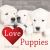 Love Puppies Love Puppies