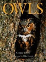 Owls