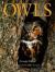 Owls