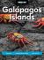 Moon Galápagos Islands : Wildlife, Snorkeling and Diving, Tour Advice