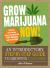 Grow Marijuana Now!