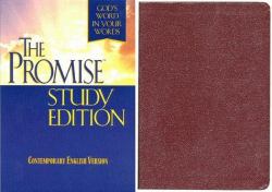 The Promise : God's Words in Your Words
