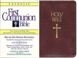 Gift and Study Bible - NAB
