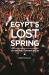 Egypt's Lost Spring : Causes and Consequences