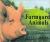 Farmyard Animals