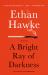 A Bright Ray of Darkness : A Novel