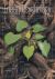 Energy Psychology Journal 16 : 1