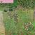 Klimt Landscapes Wall Calendar 2023 (Art Calendar)