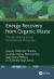 Energy Recovery from Organic Waste : Thermochemical and Biochemical Processes