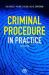 Criminal Procedure in Practice