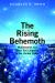 The Rising Behemoth : Multidistrict and Mass Tort Litigation in the United States