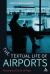The Textual Life of Airports : Reading the Culture of Flight