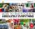 How to Photograph Absolutely Everything : Successful Pictures from Your Digital Camera