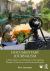 Documentary Journalism : A Field Guide to Collaborative Storytelling, Human Connection, and Emotional Impact