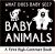 What Does Baby See? - Baby Animals : A First High-Contrast Board book
