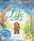 Life : A Celebration of Earth's History