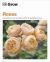 Grow Roses : Essential Know-How and Expert Advice for Gardening Success