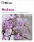Grow Orchids : Essential Know-How and Expert Advice for Gardening Success
