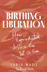 Birthing Liberation : How Reproductive Justice Can Set Us Free