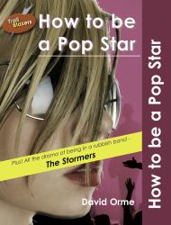 How to Be a Pop Star