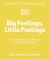Big Feelings, Little Feelings : The Kaleidoscope of What You Are Feeling and Why