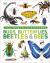 Our World in Pictures Bugs, Butterflies, Beetles and Bees