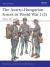 The Austro-Hungarian Forces in World War I (2) : 1916-18