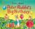 The World of Peter Rabbit: Peter Rabbit's Big Birthday