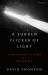 A Sudden Flicker of Light : A Revisionist History of the Movies